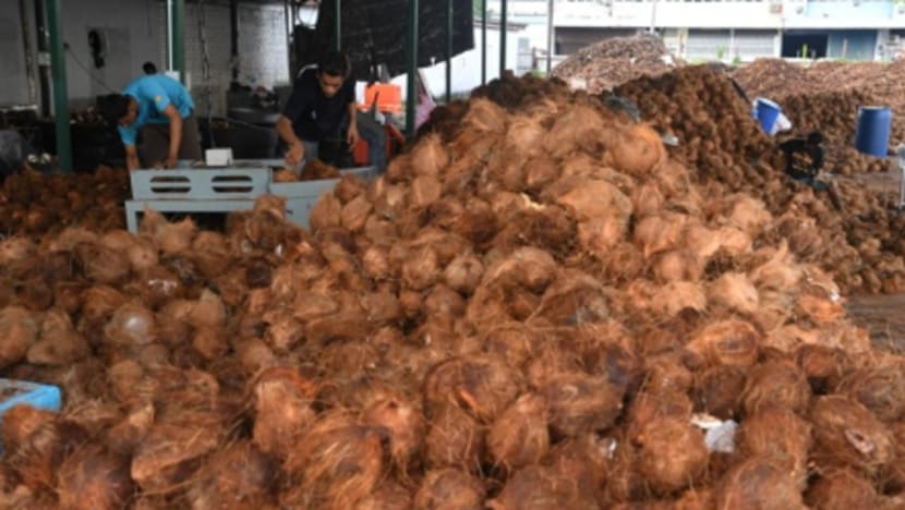 Permintaan kelapa, santan naik jelang Hari Raya Permintaan kelapa, santan naik jelang Hari Raya