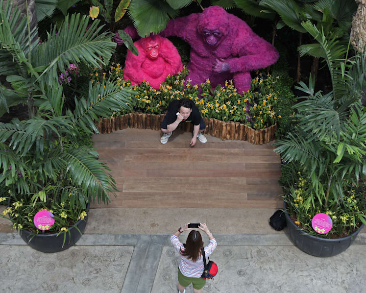Giant ‘SingaPop’ floral displays, free shows at Gardens by the Bay in August