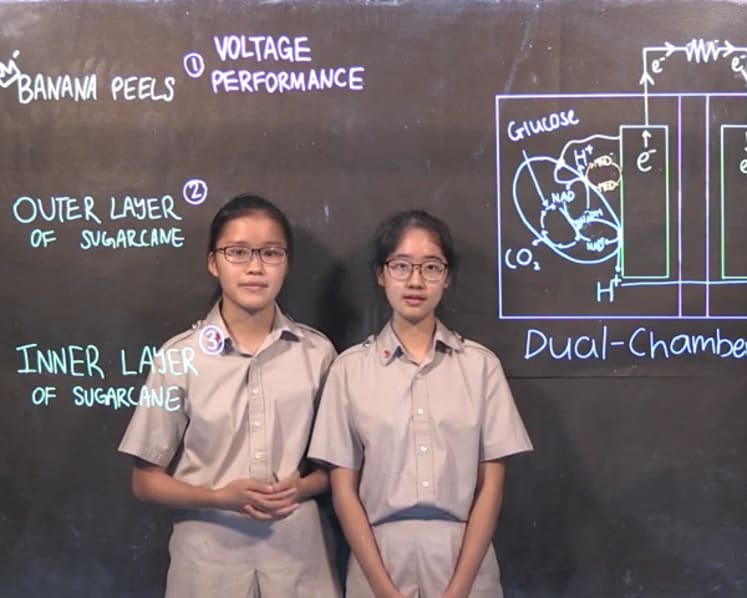 Two Singaporean students picked as finalists for annual Google Science Fair in the United States