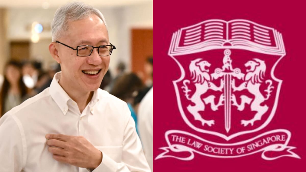 New Law Society president Tan Cheng Han says dispute over presidency was ‘settled gracefully’, unity restored
