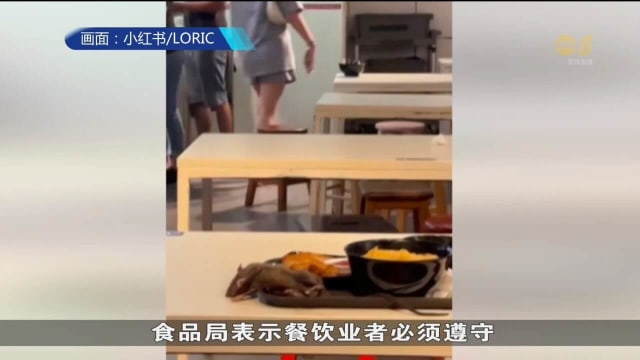 诗家董食阁老鼠入侵事件 食品局正在调查