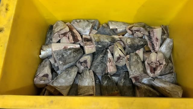 进口商无证进行鱼类食品加工 被罚款2000元