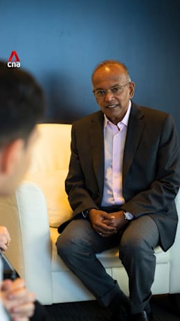 Scholarships among ground-led initiatives to help Palestinians: Shanmugam