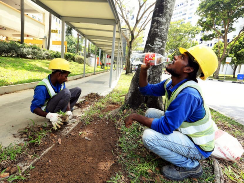 Even as the temperature here soared to a record high earlier this week, thousands of workers were seen sweating it out and earning their livelihoods outdoors. Photo: Koh Mui Fong Even as the temperature here soared to a record high earlier this week, thousands of workers were seen sweating it out and earning their livelihoods outdoors. Photo: Koh Mui Fong