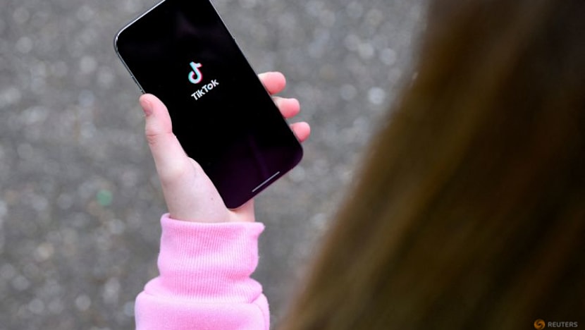EU court adviser sides with EU regulators against Tiktok in fight over tech label