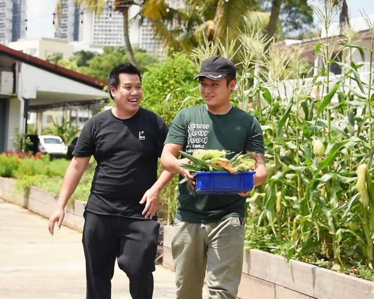 Why this Michelin star chef spends so much time on Singapore farms