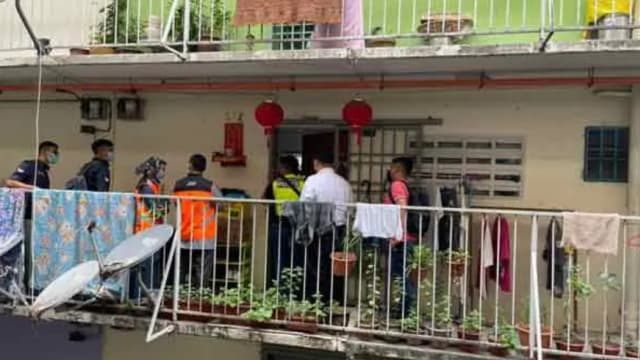 马国两幼童脸带伤被拍照发帖 警登门逮母亲和姨婆