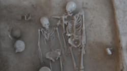 Related article image