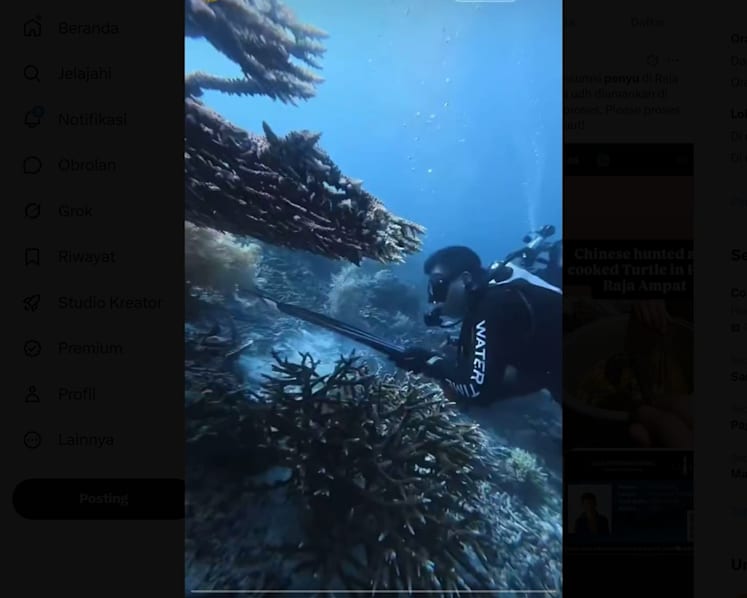 Buru dan santap penyu sisik di Raja Ampat, WN China terancam 15 tahun penjara
