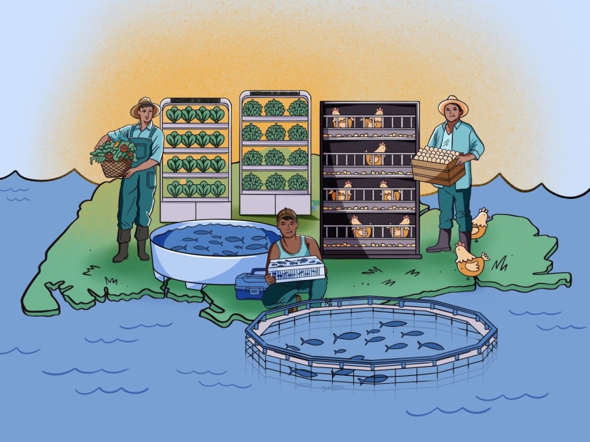 The Big Read in short: Homegrown food produce — will Singaporeans bite despite bigger price tags?