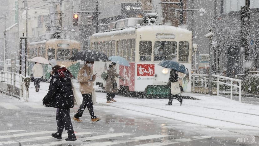 Japan, South Korea flights mostly unaffected by harsh weather: SIA Japan, South Korea flights mostly unaffected by harsh weather: SIA