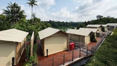 What To Expect At Colugo Camp, Mandai Wildlife Reserve’s New Luxury Camping Space With Buffets & Guided Tours