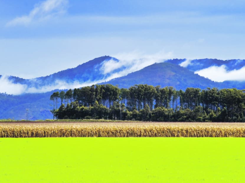 Cairns: More than just the Great Barrier Reef