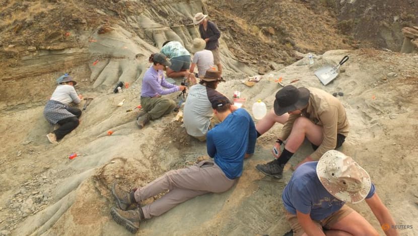 Fossil reveals Cretaceous drama of a croc attack on a flying reptile