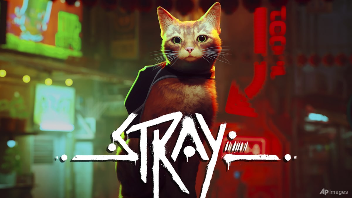 philanthropy_cat_video_game_96