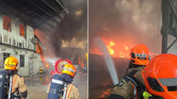 Related article image