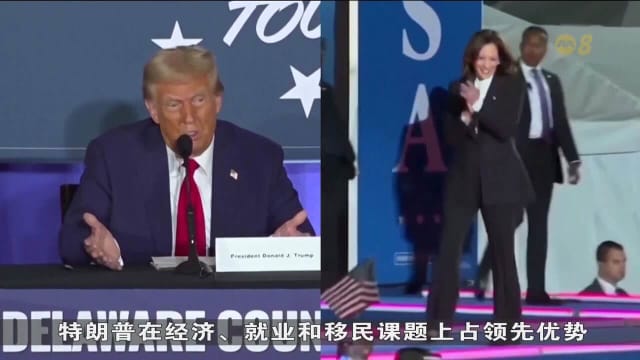 选前最后一周冲刺 民调：哈里斯仅领先一个百分点