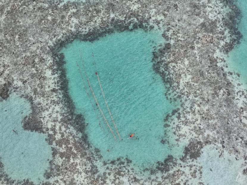 Coral Triangle communities find solutions as underwater world faces deep climate challenges