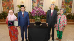 Related article image