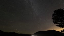 Related article image