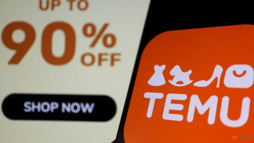 Temu-owner PDD Holdings profit dives as it faces challenges at home and abroad Temu-owner PDD Holdings profit dives as it faces challenges at home and abroad