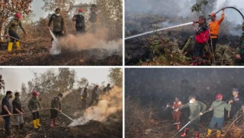 Timbalan Menteri Alam Sekitar Indonesia alami masalah kesihatan selepas bantu padam kebakaran hutan