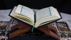 Related article image
