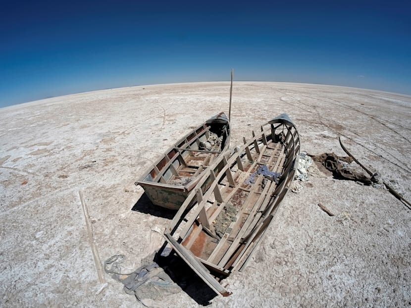 When students and workers become activists for climate change