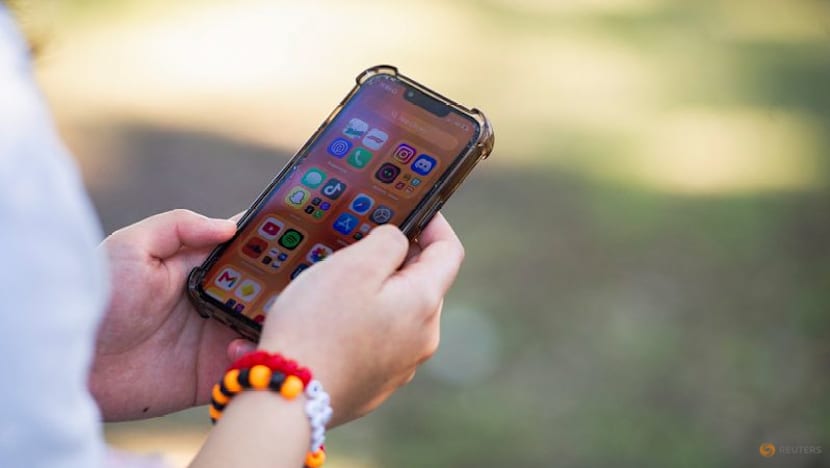 France's constitutional authority strikes down social media ban for under-15s