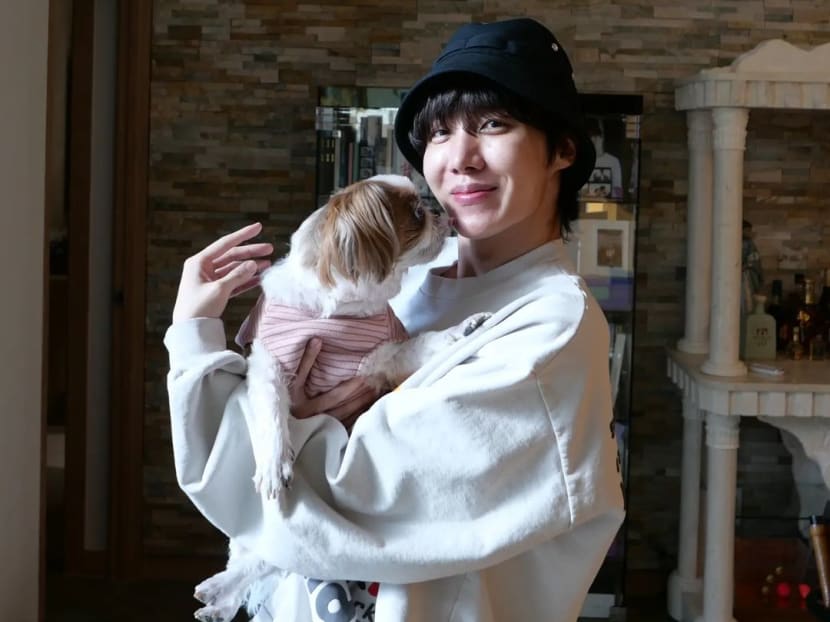 BTS member J-Hope to be discharged from military, fans discouraged from visiting site