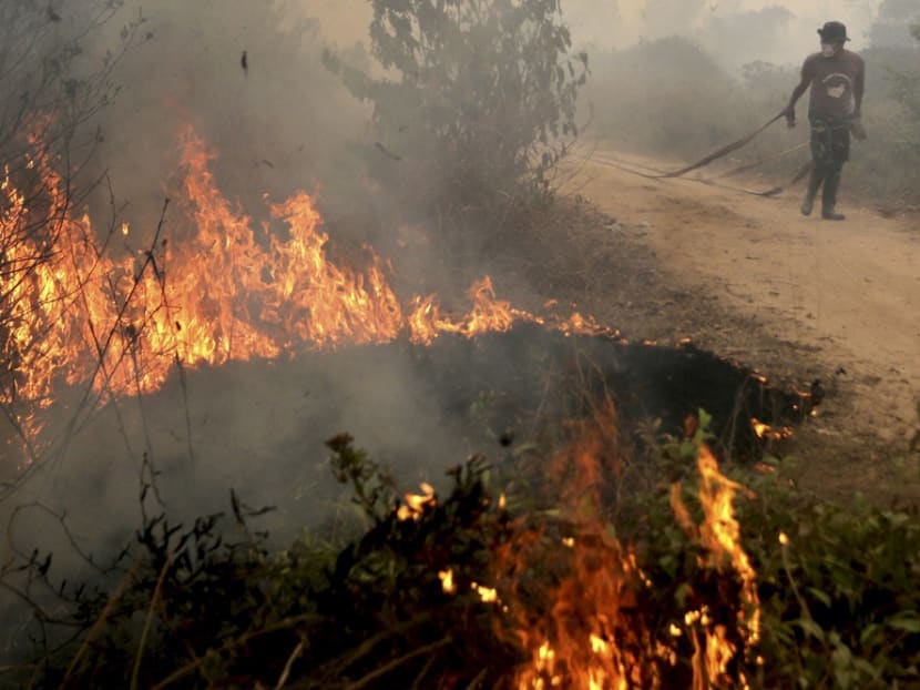 An Indonesian soldier trying to put out a peatland fire in Ogan Ilir, Sumatra, in September. Photo: Reuters An Indonesian soldier trying to put out a peatland fire in Ogan Ilir, Sumatra, in September. Photo: Reuters