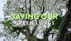 Saving Our Green Lungs