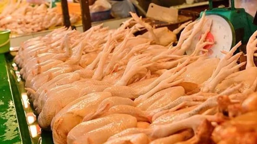 Dakwaan ayam segar tidak disembelih ikut syariat di Perak tidak benar Dakwaan ayam segar tidak disembelih ikut syariat di Perak tidak benar
