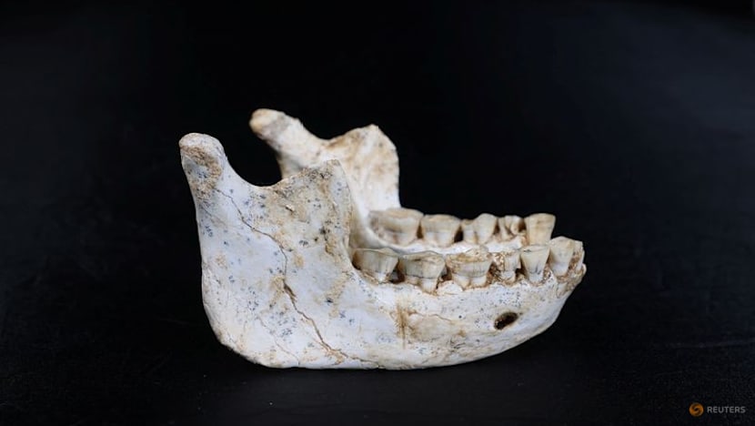 Fossils found in Moroccan cave may be a close Homo sapiens ancestor