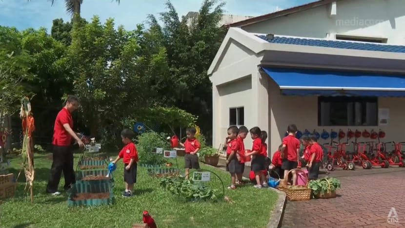 Pre-schools in Singapore sowing seeds of sustainability in their pupils Pre-schools in Singapore sowing seeds of sustainability in their pupils