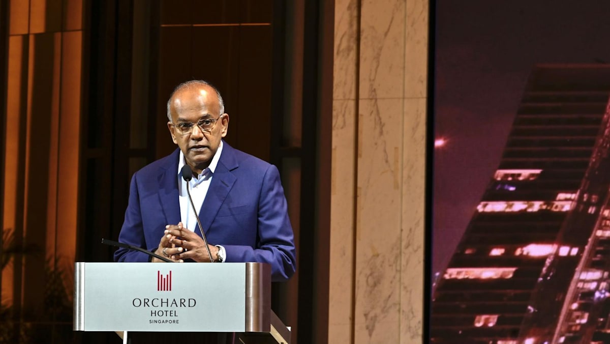 Immediate recognition of a Palestinian state may not help the Palestinian cause: Shanmugam