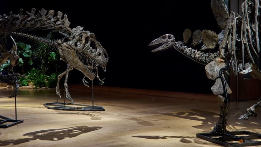 Three dinosaur fossils from Jurassic period headed for London auction
