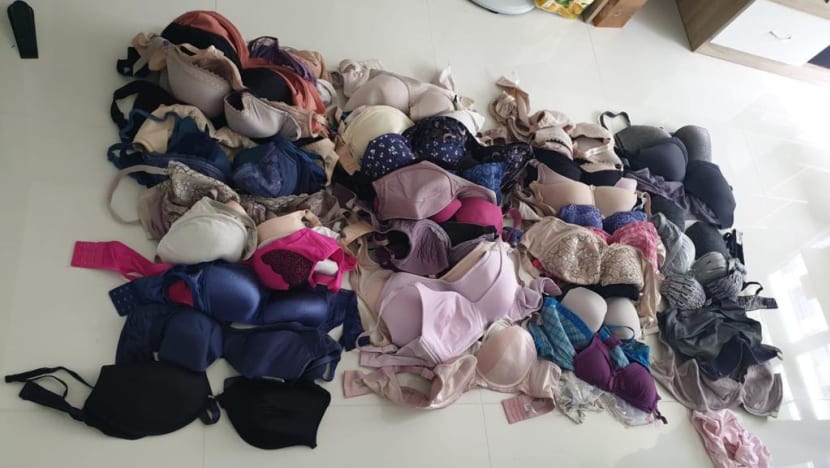 Man arrested for allegedly stealing undergarments, more than 60 found in his possession: Police