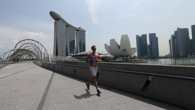 Singapore quietly helping developing nations, says envoy