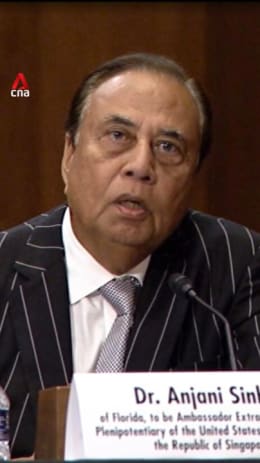 Anjani Sinha, Trump's pick for ambassador to Singapore, struggles at Senate hearing