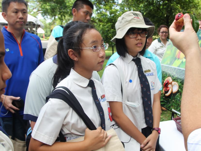 Nature tour at Istana open houses to start on Saturday