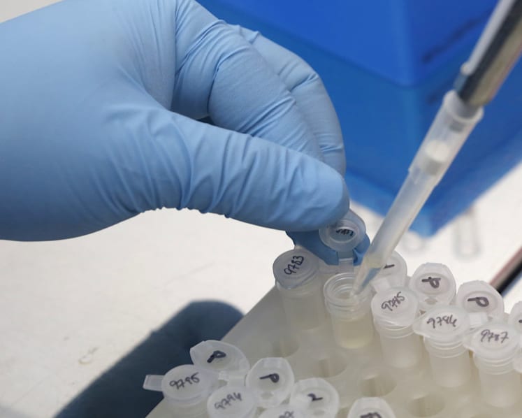 Two suspected cases of Zika in Singapore have tested negative for the virus