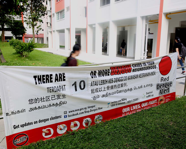 Number of dengue cases in 2020 so far surpasses 2019's total count