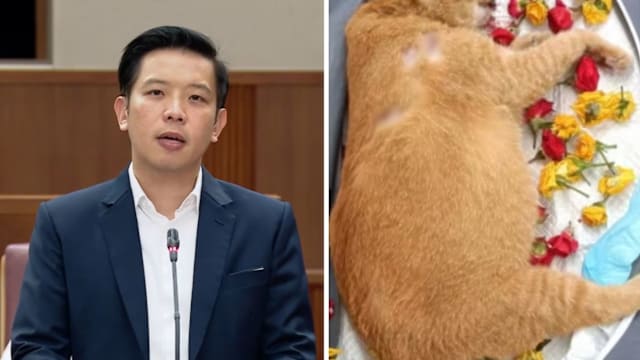 陈圣辉：正推动检讨《动物与飞禽法令》