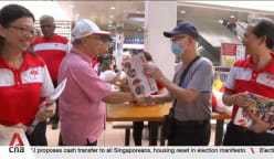 PSP presents 'highly talented, diverse' slate for Chua Chu Kang GRC