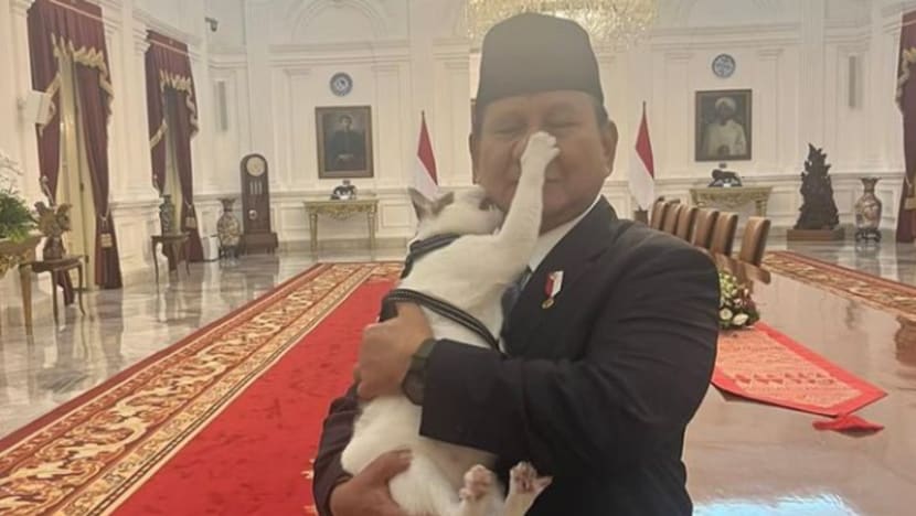 Ketika Prabowo dicakar Bobby, netizen: Paspampres kecolongan