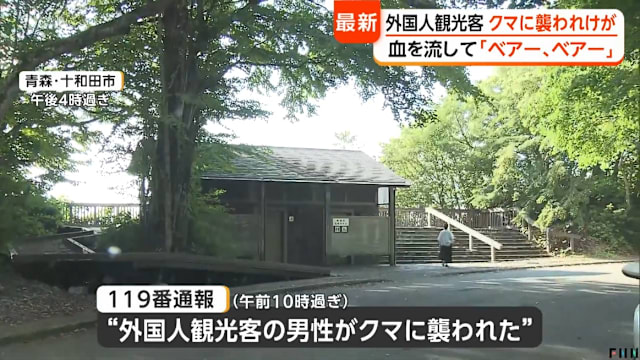 日本热门景点发生熊袭 外国游客遭咬伤
