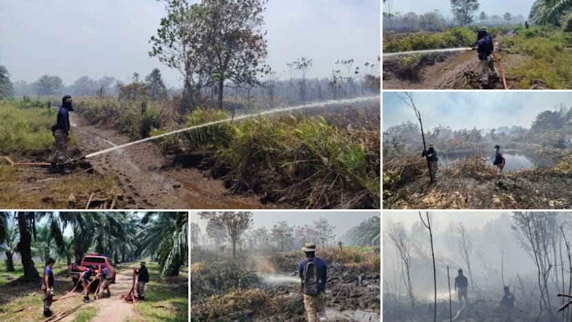 Kebakaran hutan Desaru-Pengerang: 60% kawasan dilapor masih terbakar