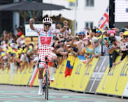 Ecuadorian Carapaz wins 20th stage of Tour de France
