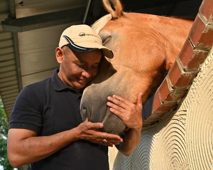 They used to race for money. Now, man and horse help heal the human spirit